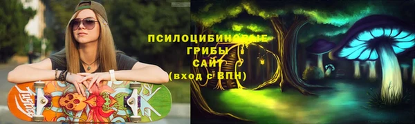 ALPHA PVP Богородицк