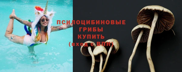 хмурый Бронницы