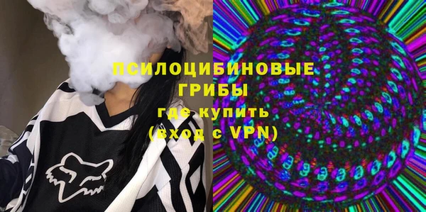 СК Богородск
