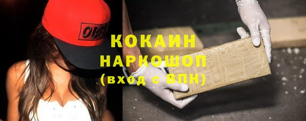 ГАЛЛЮЦИНОГЕННЫЕ ГРИБЫ Богданович