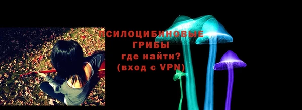 ГАЛЛЮЦИНОГЕННЫЕ ГРИБЫ Богданович