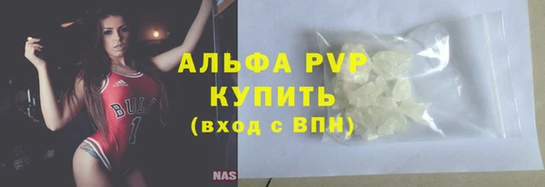 ГАЛЛЮЦИНОГЕННЫЕ ГРИБЫ Богданович