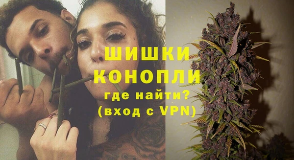 СК Богородск