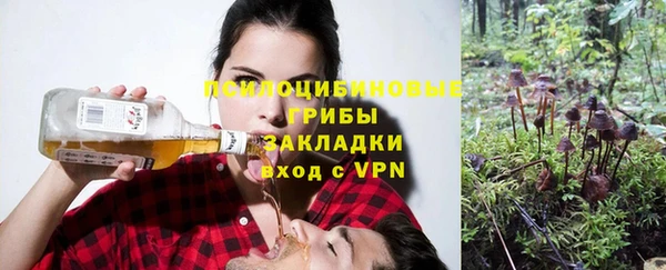 ALPHA PVP Богородицк