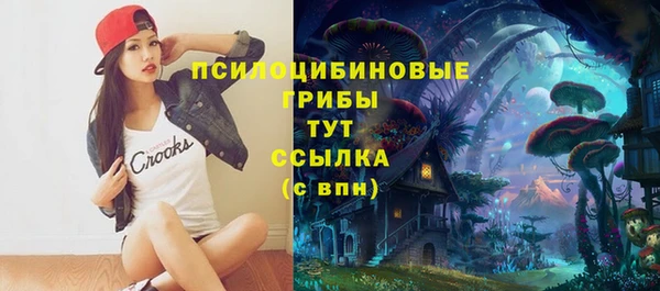 ГАЛЛЮЦИНОГЕННЫЕ ГРИБЫ Богданович