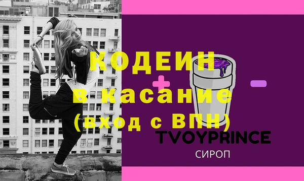 ГАЛЛЮЦИНОГЕННЫЕ ГРИБЫ Богданович