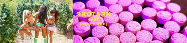 не бодяженный Бородино
