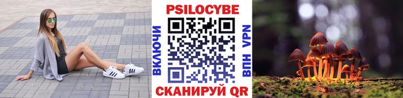Псилоцибиновые грибы Psilocybe Балабаново